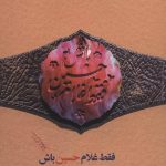 کتاب فقط غلام حسین باش